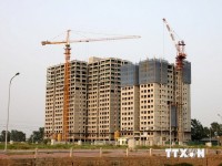 TP.HCM: Hơn 61% diện tích đất xây dựng nhà ở ngưng triển khai