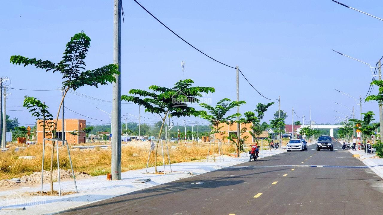 MUA GẤP LÔ 5C51 MỸ PHƯỚC 4 SỐ LƯỢNG LỚN