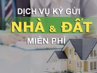 NHẬN KÝ GỬI ĐẤT BÀU BÀNG – BÁN NHANH, HỖ TRỢ A-Z!