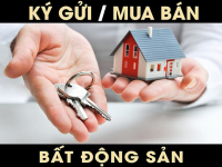 ĐỊA CHỈ THU MUA ĐẤT BÌNH DƯƠNG UY TÍN