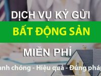 THU MUA ĐẤT MỸ PHƯỚC 3 UY TÍN – GIAO DỊCH NHANH, GIÁ CAO, KHÔNG ÉP GIÁ