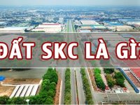 BÁN ĐẤT SKC GIÁP SUỐI – DT 1HA VỊ TRÍ CỰC ĐẸP, GIÁ ĐẦU TƯ