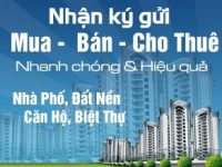 TÔI CẦN MUA ĐẤT VSIP 2 BÌNH DƯƠNG – GIAO DỊCH UY TÍN